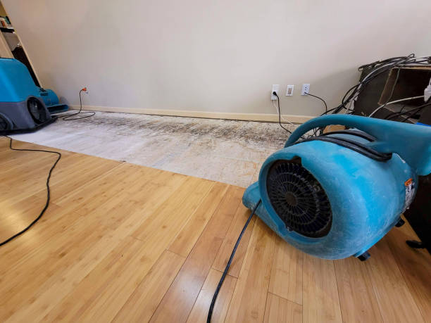 Professional Flood Damage Cleanup technician working in Edmond, WV